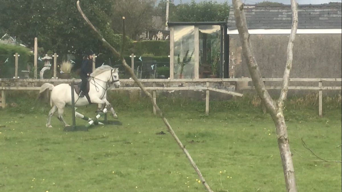 Sedbergh Prep Riding (@sedprepriding) on Twitter photo A fantastic evening training with the pre riders tonight
Our grass roots riders ages 7-8 having a great fun and brilliant lesson ❤️❤️⭐️⭐️ <a href="/Sed_Equestrian/">Sedbergh Equestrian</a> A fantastic evening training with the pre riders tonight
Our grass roots riders ages 7-8 having a great fun and brilliant lesson ❤️❤️⭐️⭐️ <a href="/Sed_Equestrian/">Sedbergh Equestrian</a>