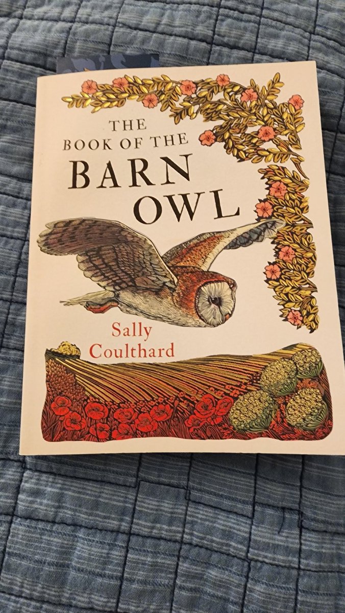 Thatonebirb's tweet photo. I only read REAL literature. https://t.co/GLlJTLtriJ