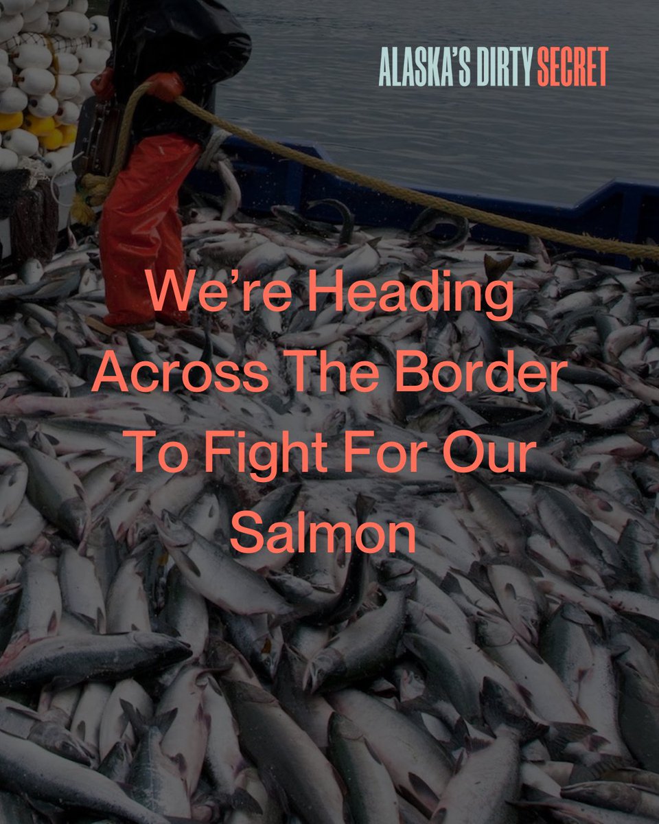The battle is uphill, but we’ve come this far.

Our team will appear at hearings in Seattle hosted by the Marine Stewardship Council. We will have to persuade a U.K.-based adjudicator that salmon fisheries in SE Alaska, which kill millions of returning Canadian salmon [1/2]