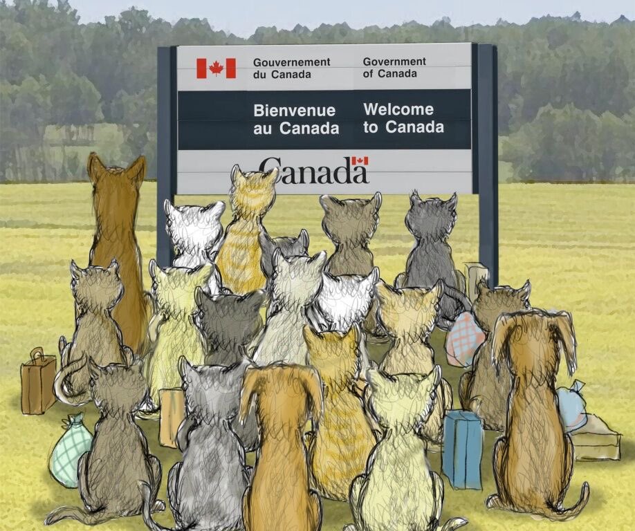 Our borders are open to our 4 legged friends south 🇨🇦 

 <a href="/groscalin/">그로칼랭 🫂</a>