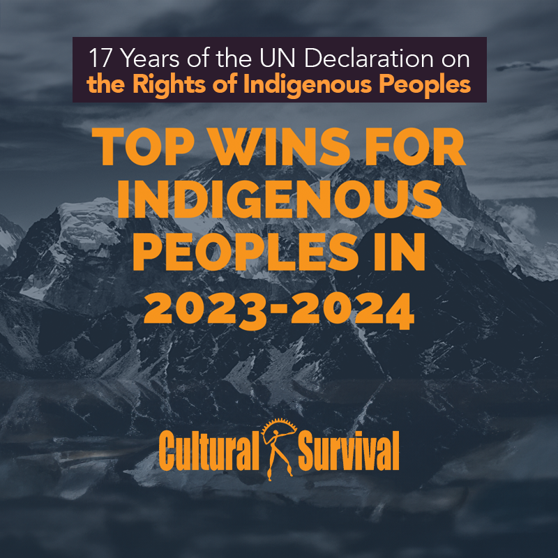 Cultural Survival tweet media