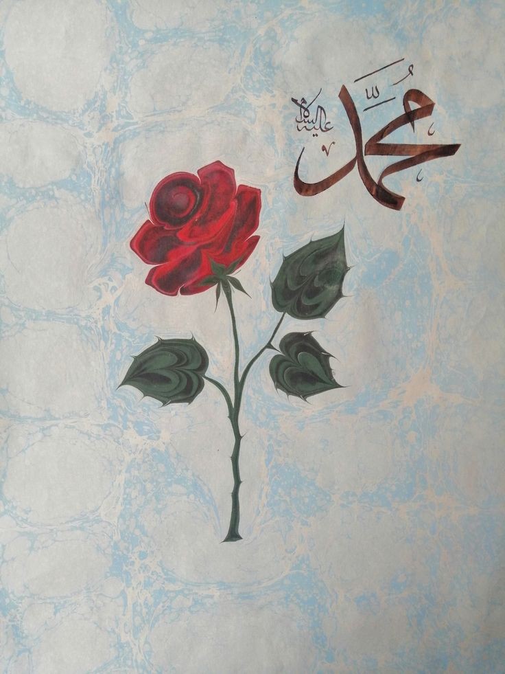 Görmeden sevilir mi? 
-Seviliyor işte..
Salat ve Selam sana ya Resulullah