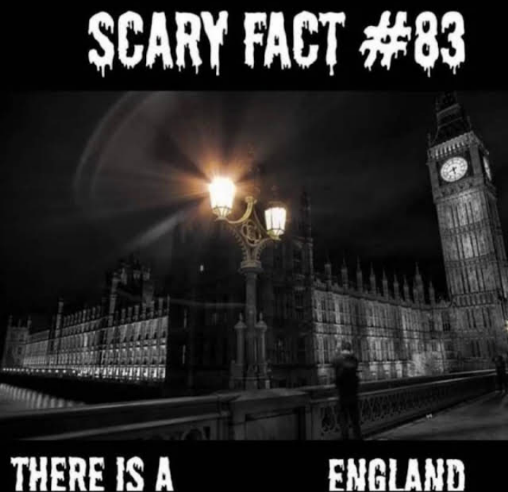 ShitpostGate's tweet photo. ︎ ︎ ︎ ︎ ︎ ︎ ︎ ︎ ︎ ︎ ︎ ︎ ︎ ︎ ︎ ︎ ︎ https://t.co/GwbQKzjMen