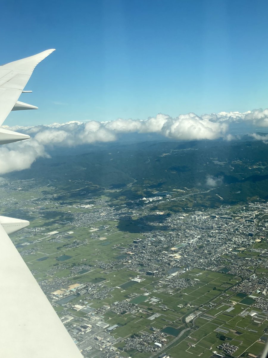 筋斗雲みたいの沢山いる😊