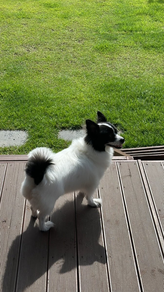 Waves PH (Bada Lee Official Fanbase) tweet media