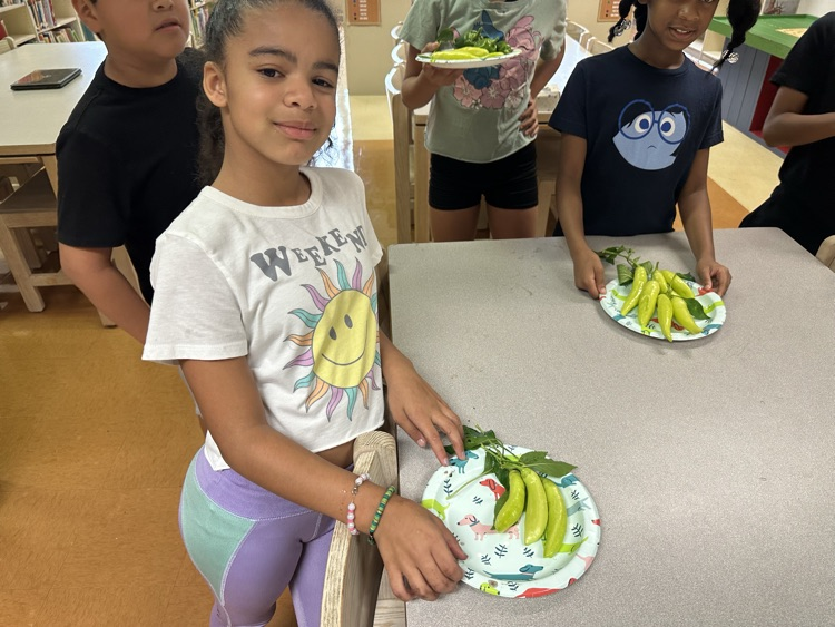 Great harvest of peppers with the Outdoor Club today!