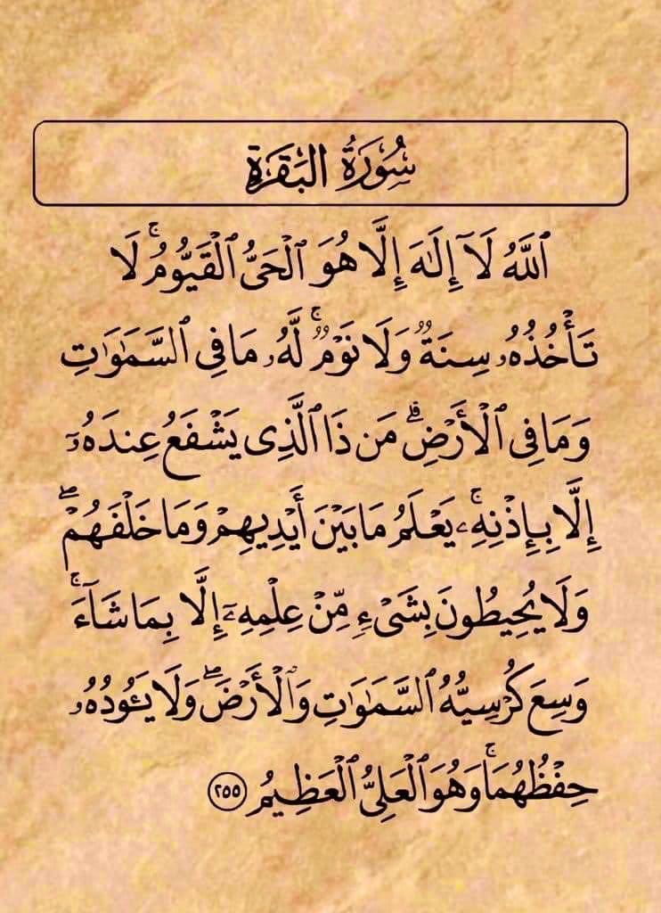 اَلسَلامُ عَلَيْكُم وَرَحْمَةُ اَللهِ وَبَرَكاتُهُ
صبح بخیر🌞