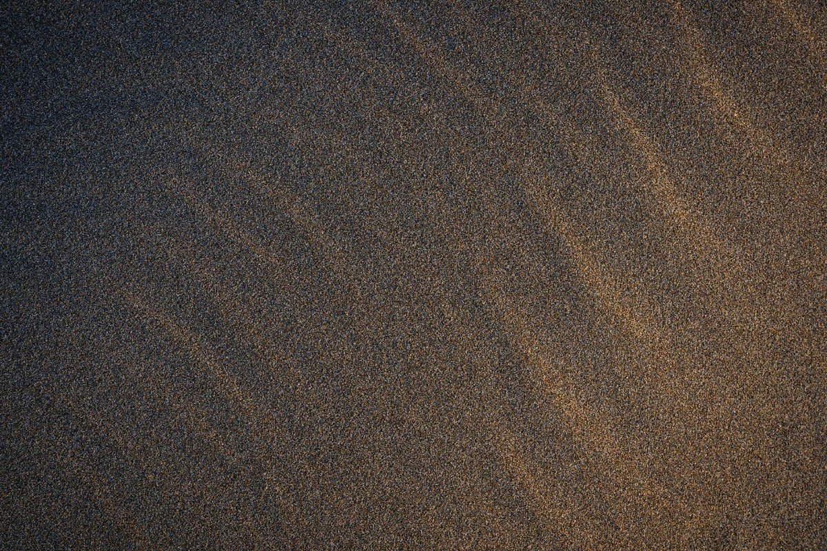 JasonKudloPhoto's tweet photo. Each ripple and groove tells a story of wind, water, and artistry. A natural art gallery where elements perform their enchanting choreography.
#texturesinnature #beachphotographer #naturephotographs #earthtones #abstractnature #BeachMagic https://t.co/hq8oHB431C