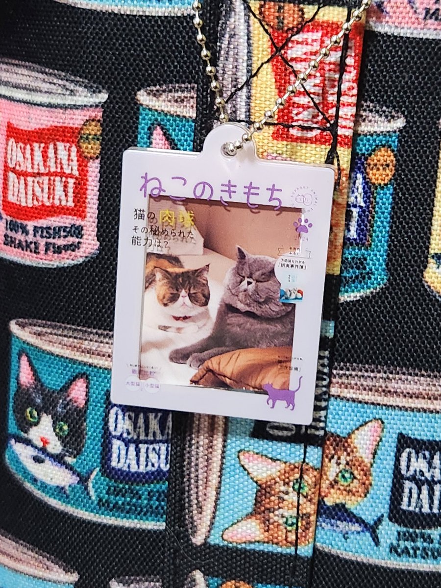 joss_aqua's tweet photo. ガチャガチャでねこのきもちのフォトフレームキーホルダーがありました。
ねこのきもちの表紙を飾った気分が味わえます(=^ェ^=)

#エキゾチックショートヘア
#猫好きさんと繋がりたい 
#猫がいる幸せ 
#猫のいる暮らし 
#ねこのきもち https://t.co/yN36Q8hhbo