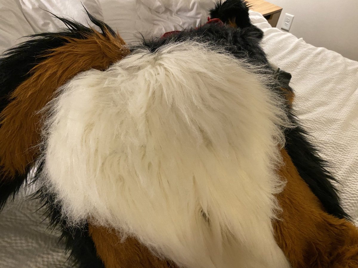 Look, there's a full moon!

#FursuitFriday