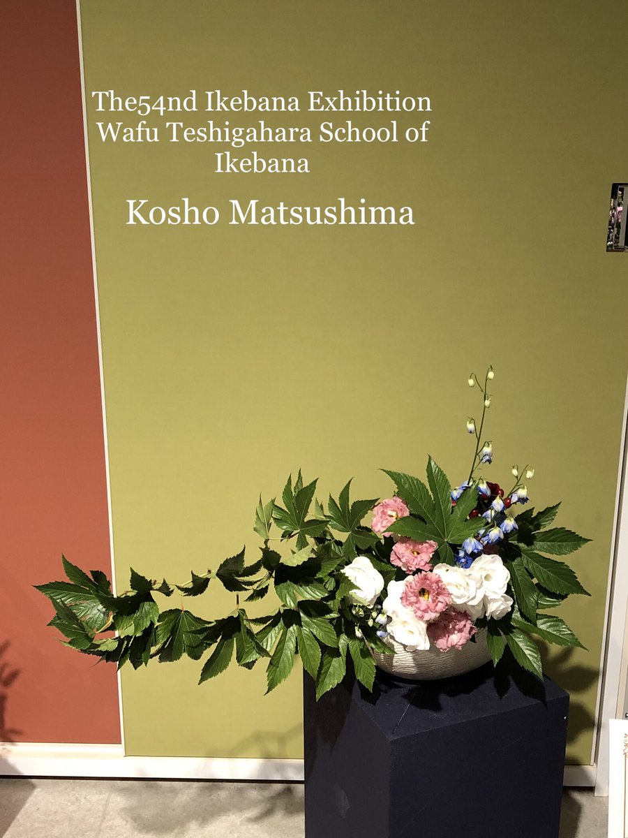 ikebana_wafukai's tweet photo. 勅使河原和風会
第54回本部中央いけ花展作品✨
#ikebana #wafu #setagaya
#sakurashimmachi #老人ホーム
#triallesson #いけばな #桜新町 #体験教室 #お稽古 #サザエさん #湘南乃風 #勅使河原和風会第54回本部中央いけ花展 https://t.co/wmvmF2fRZI