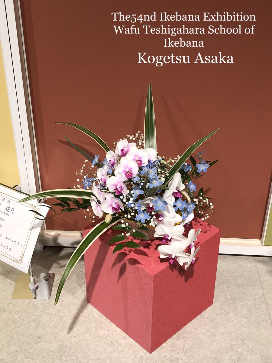 ikebana_wafukai's tweet photo. 勅使河原和風会
第54回本部中央いけ花展作品✨
#ikebana #wafu #setagaya
#sakurashimmachi #老人ホーム
#triallesson #いけばな #桜新町 #体験教室 #お稽古 #サザエさん #湘南乃風 #勅使河原和風会第54回本部中央いけ花展 https://t.co/wmvmF2fRZI