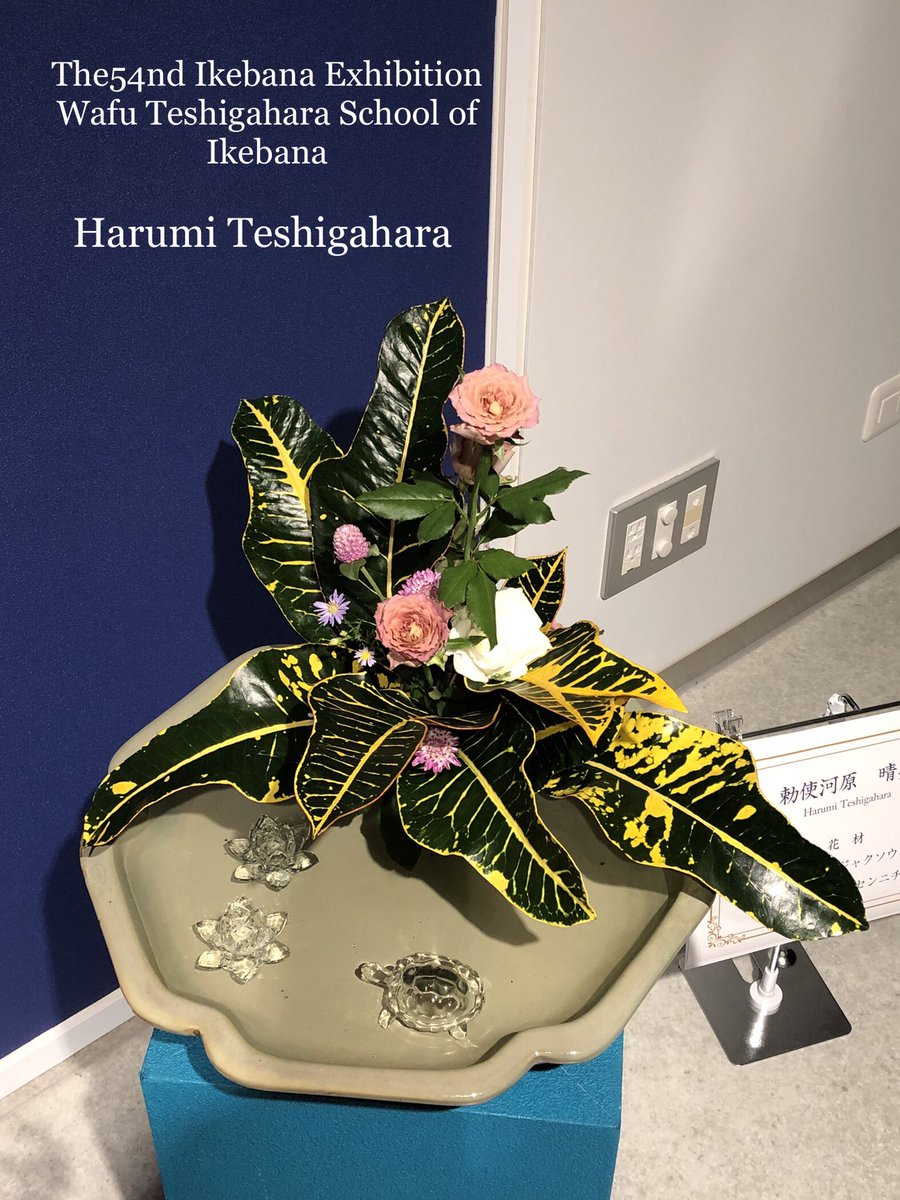 ikebana_wafukai's tweet photo. 勅使河原和風会
第54回本部中央いけ花展作品✨
#ikebana #wafu #setagaya
#sakurashimmachi #老人ホーム
#triallesson #いけばな #桜新町 #体験教室 #お稽古 #サザエさん #湘南乃風 #勅使河原和風会第54回本部中央いけ花展 https://t.co/wmvmF2fRZI