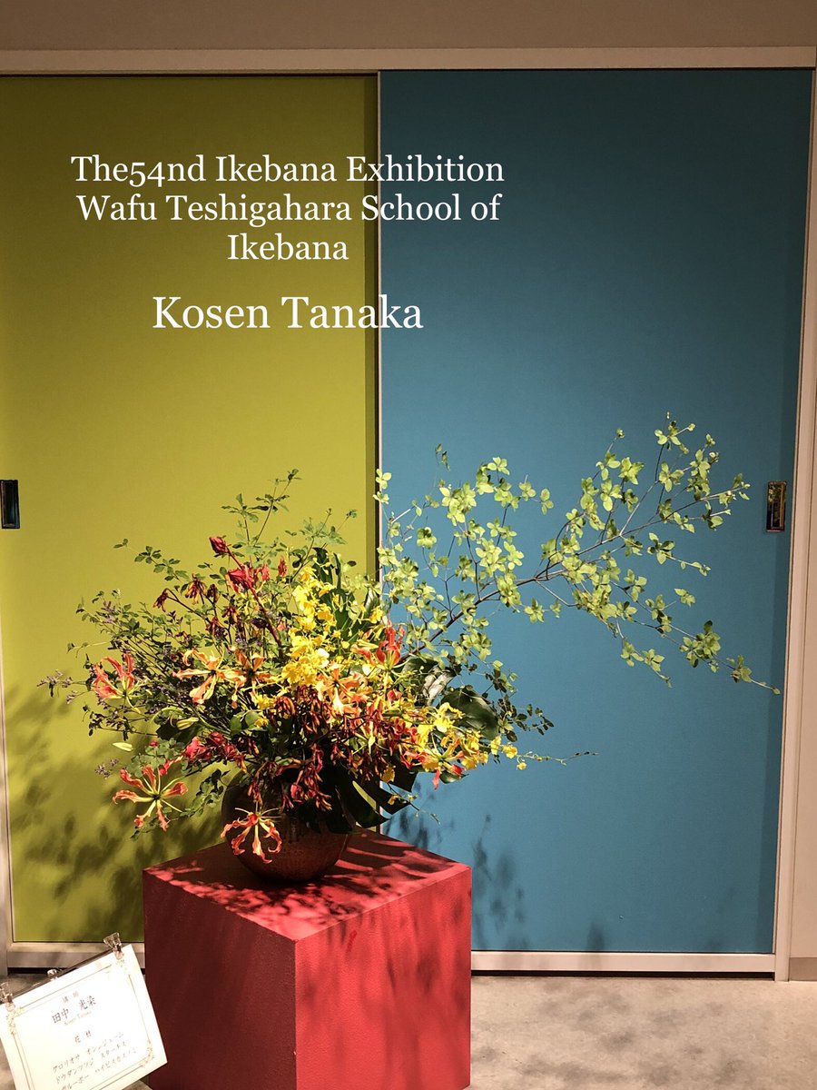 ikebana_wafukai's tweet photo. 勅使河原和風会
第54回本部中央いけ花展作品✨
#ikebana #wafu #setagaya
#sakurashimmachi #老人ホーム
#triallesson #いけばな #桜新町 #体験教室 #お稽古 #サザエさん #湘南乃風 #勅使河原和風会第54回本部中央いけ花展 https://t.co/Gcg5WWnW82