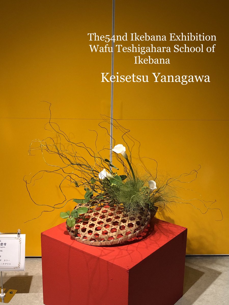 ikebana_wafukai's tweet photo. 勅使河原和風会
第54回本部中央いけ花展作品✨
#ikebana #wafu #setagaya
#sakurashimmachi #老人ホーム
#triallesson #いけばな #桜新町 #体験教室 #お稽古 #サザエさん #湘南乃風 #勅使河原和風会第54回本部中央いけ花展 https://t.co/HNYwk7Vtn7