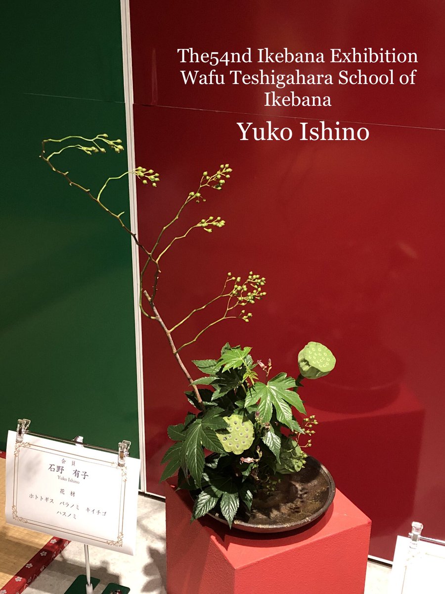 ikebana_wafukai's tweet photo. 勅使河原和風会
第54回本部中央いけ花展作品✨
#ikebana #wafu #setagaya
#sakurashimmachi #老人ホーム
#triallesson #いけばな #桜新町 #体験教室 #お稽古 #サザエさん #湘南乃風 #勅使河原和風会第54回本部中央いけ花展 https://t.co/4DZKbqQmQq