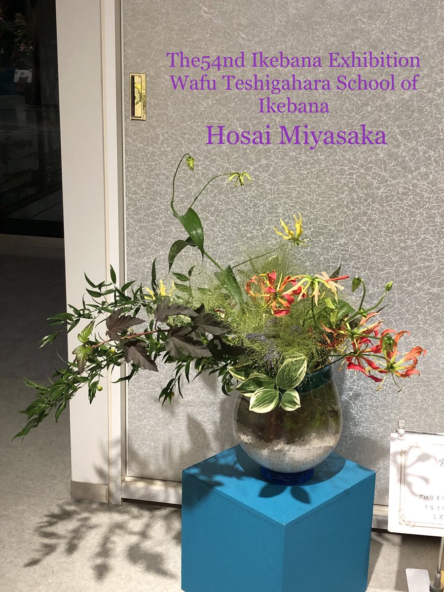 ikebana_wafukai's tweet photo. 勅使河原和風会
第54回本部中央いけ花展作品✨
#ikebana #wafu #setagaya
#sakurashimmachi #老人ホーム
#triallesson #いけばな #桜新町 #体験教室 #お稽古 #サザエさん #湘南乃風 #勅使河原和風会第54回本部中央いけ花展 https://t.co/ht7DQo2YDE