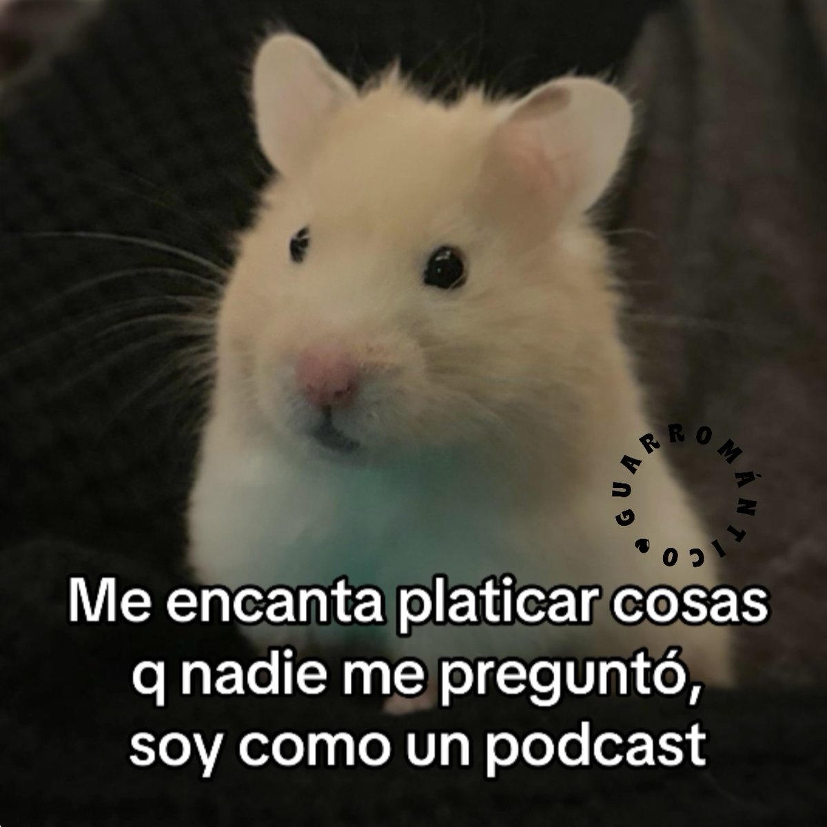 Me encanta.