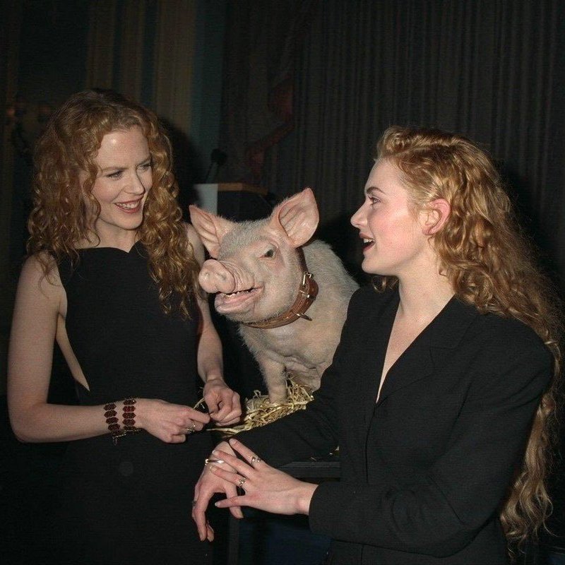 Nicole Kidman &amp; Kate Winslet with Babe the pig at the Oscars, 1995.