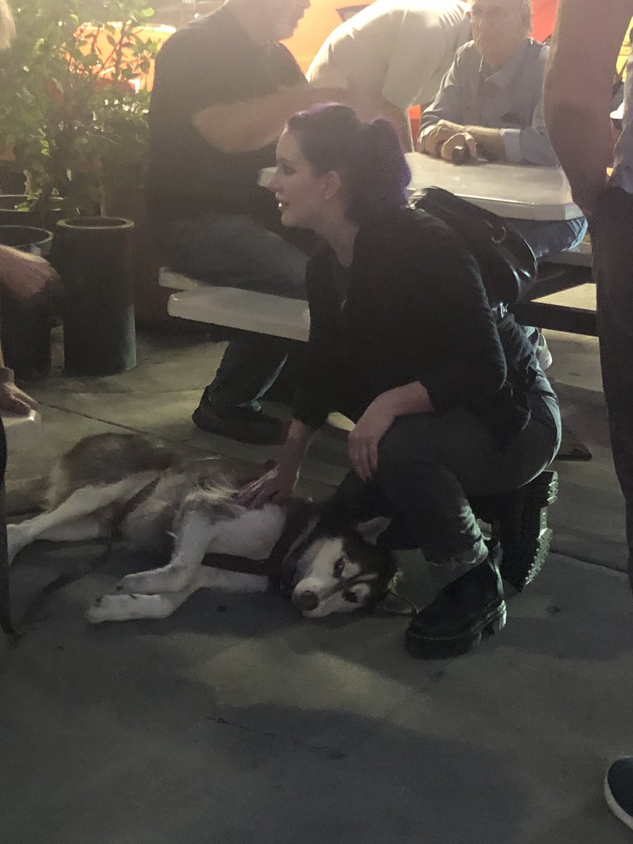 fangs's tweet image. One thing about me is I WILL find and pet the dog at any given social gathering