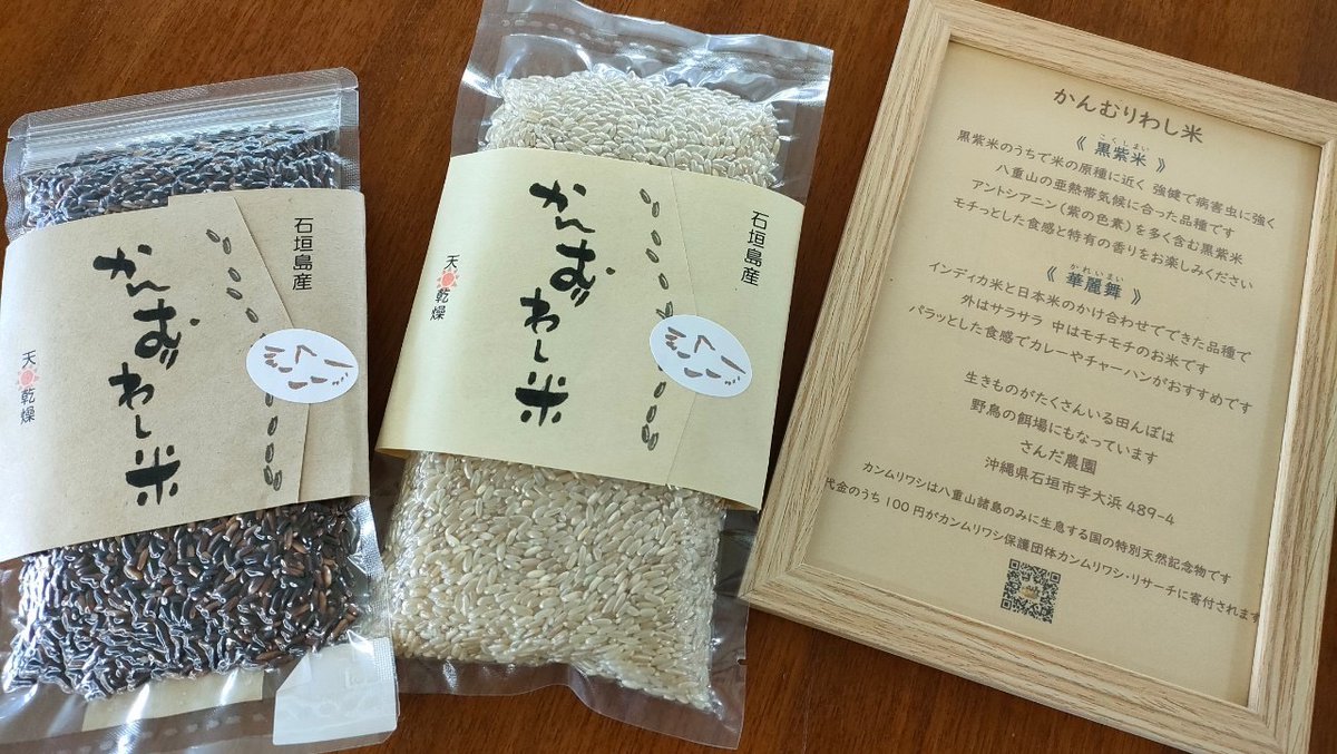 yaimamura's tweet photo. かんむりわし米の新商品が入荷しました。
「華麗舞」(かれいまい)
日本米とインディカ米を掛け合わせてできた少し細長いお米。カレーやチャーハンに向いているそうです。
売り上げの内100円がカンムリワシ保護活動に寄付されます。
やいま村売店にてお求め下さい。 https://t.co/nzXrdysD5U
