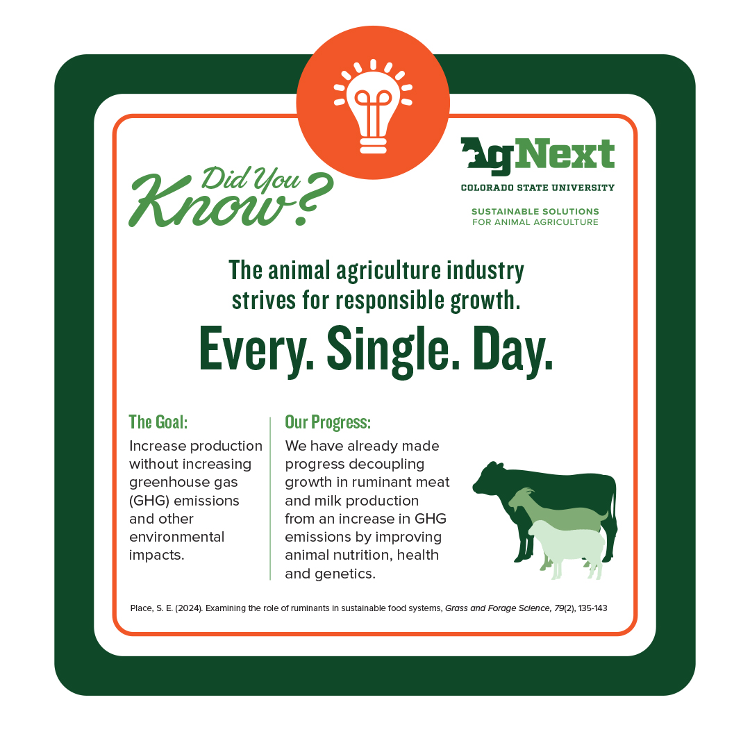 CSUAgNext's tweet photo. The animal ag industry is making strides toward responsible growth by focusing on sustainability. At AgNext, we're committed to advancing the science to understand how we can increase production without increasing greenhouse gas emissions or environmental impacts.

#FactFriday https://t.co/cQcIYGbqCn