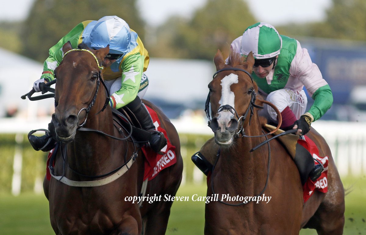Steven Cargill (@steven_cargill) on Twitter photo 5th win for 8yo g FAYLAQ <a href="/amie_waugh90/">Amie</a> in 14.5f Mallard Handicap <a href="/DoncasterRaces/">Doncaster Racecourse</a> today for <a href="/DarleyEurope/">Darley in Europe</a> Dubawi <a href="/JimGoldieRacing/">Jim Goldie Racing</a> 5th win for 8yo g FAYLAQ <a href="/amie_waugh90/">Amie</a> in 14.5f Mallard Handicap <a href="/DoncasterRaces/">Doncaster Racecourse</a> today for <a href="/DarleyEurope/">Darley in Europe</a> Dubawi <a href="/JimGoldieRacing/">Jim Goldie Racing</a>