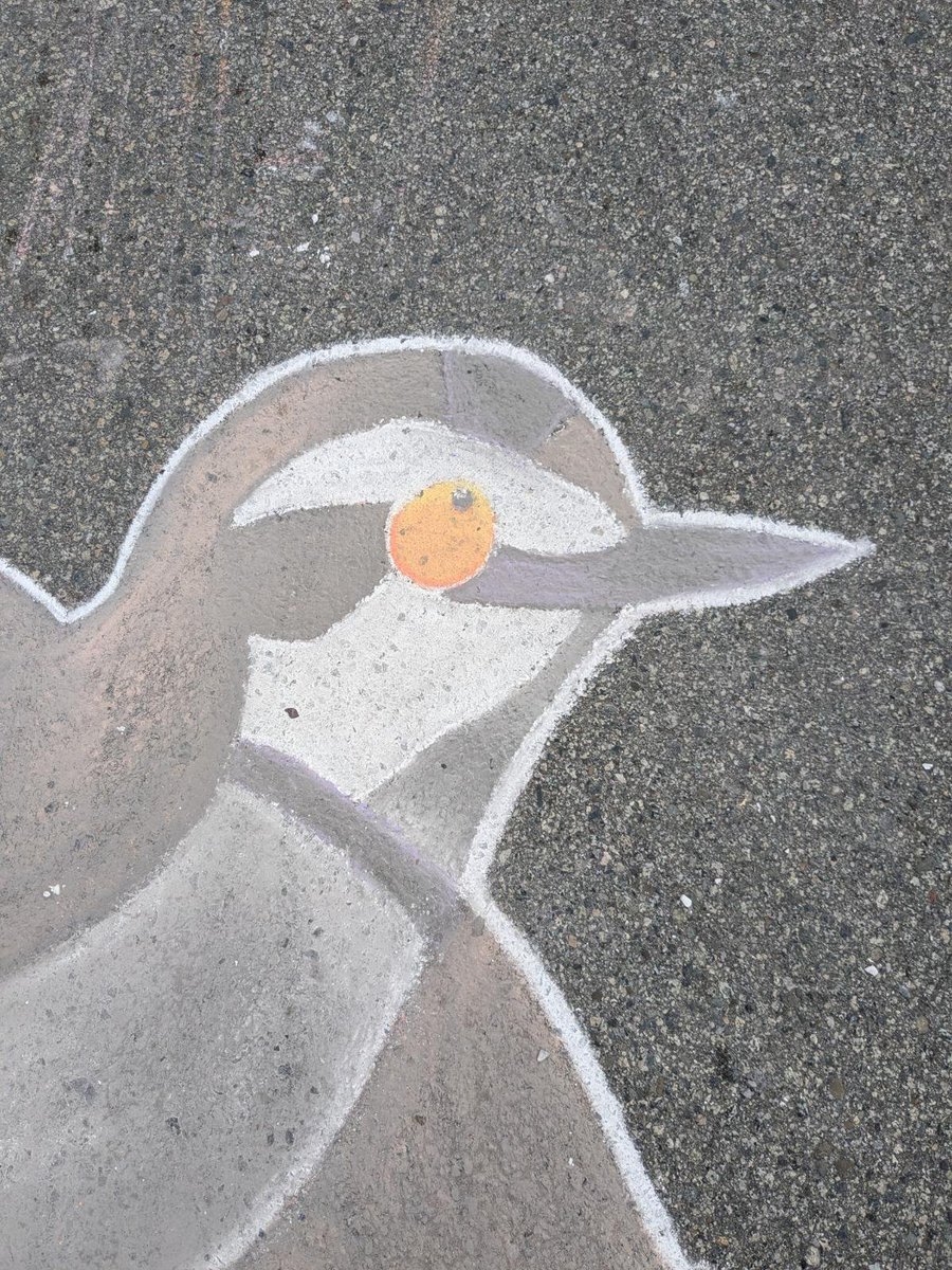 (Inactive) Friends of Ocean Beach Park tweet media