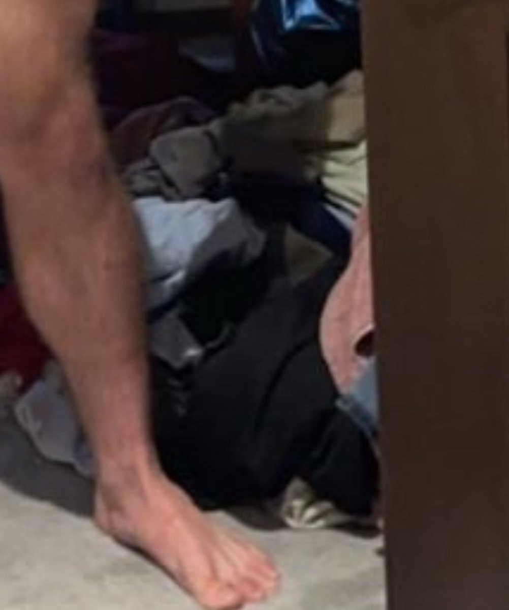 Katherine Dee 🐬/acc tweet media