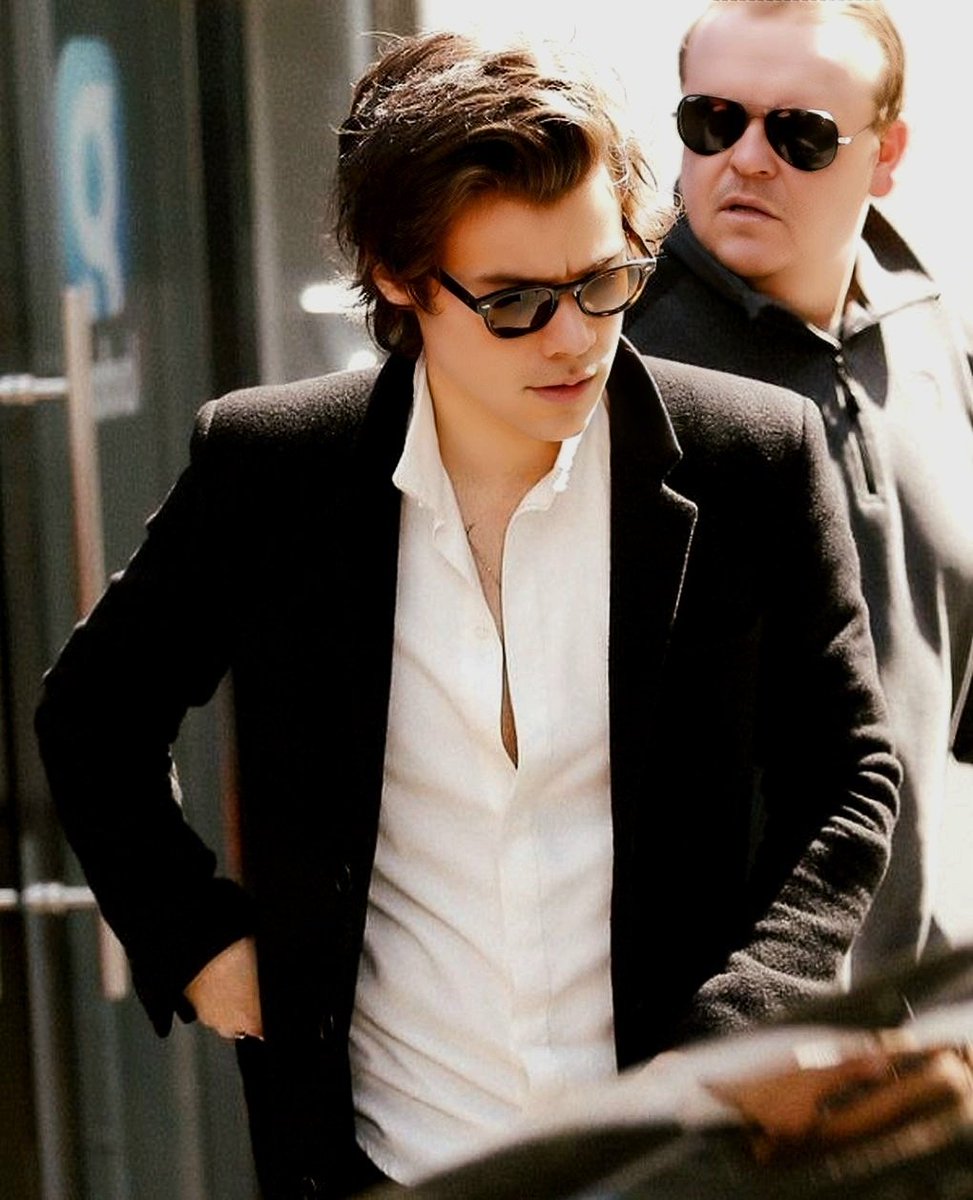 daily harry tweet media