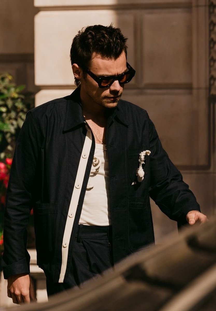 harry styles                             harry styles
     2017                                           2024