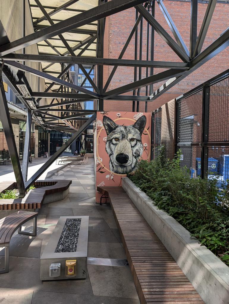 NFTxPanda's tweet photo. Gotta love #denver! https://t.co/MFjyqfNXF4
