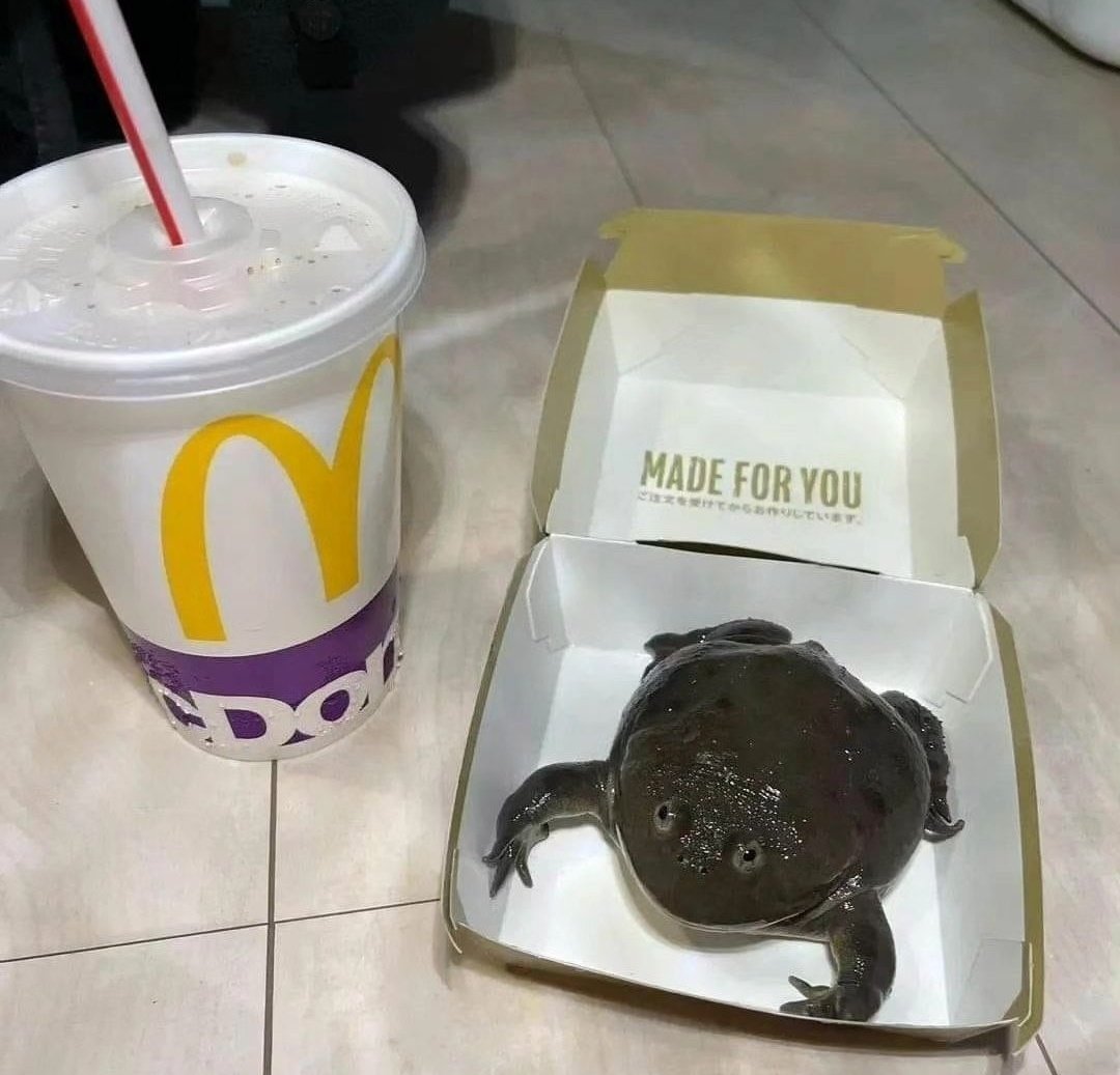 No Context Frogs (@nocontextfrogs) on Twitter photo 
