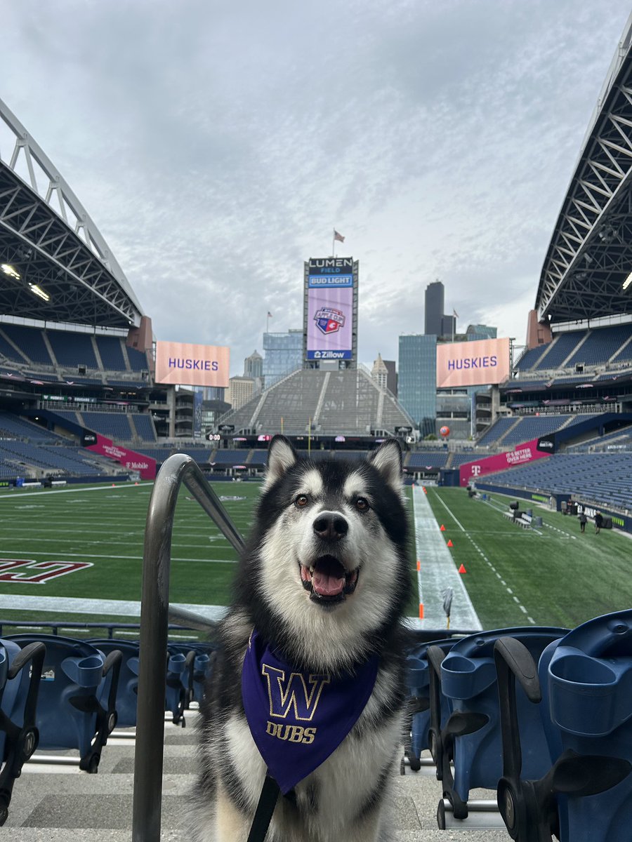 Ready for tomorrow! 🐾