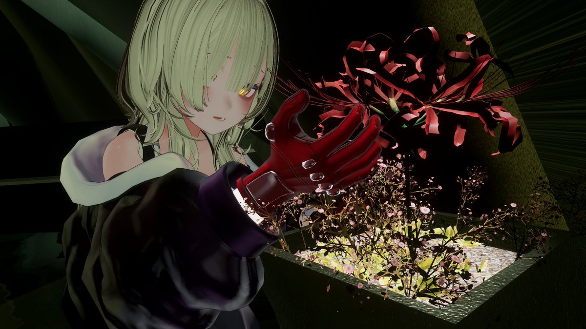 桔梗様 桔梗 on X