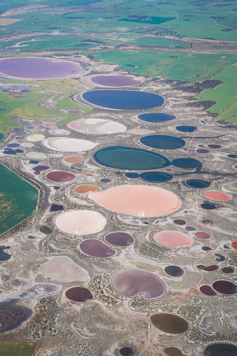 2. These basically unknown salt lakes in Western Australia are not a tourist spot of any sort, but just sort of exist beautifully, occasionally putting out this stunning palette of colours