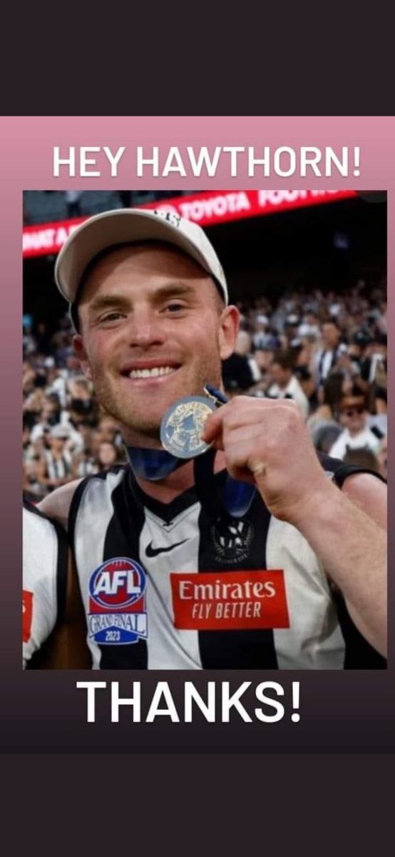 BaggersFlaggers's tweet photo. Getting booted from a club and going on to win the flag isnβt for everyone I guess #ginnivan #AFLFinals #hokfail https://t.co/O2i5B4Pszs