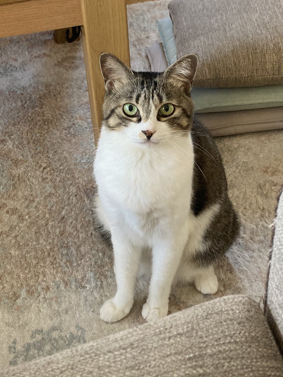 朝の光の時が1番美人に見える気がする