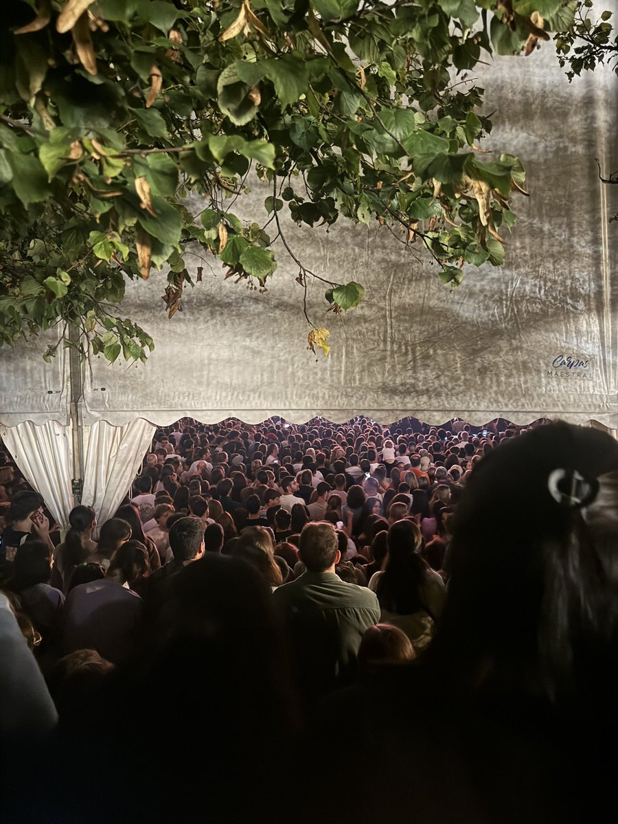 Tinc un Micaquer🤿 tweet media