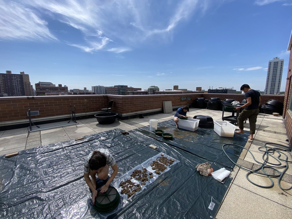 Megan Whitney tweet media