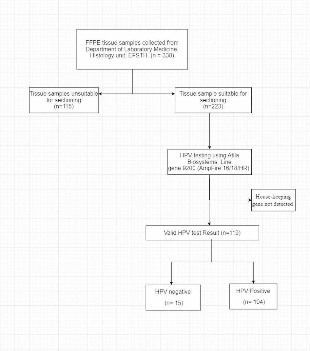 IAC_journal's tweet photo. Just published! Human papillomavirus type-specific distribution in cervical intraepithelial neoplasia and cancer in The Gambia prior to HPV immunization programme: a baseline for monitoring the quadrivalent vaccine https://t.co/d3HvOQWOYp https://t.co/oyc241XNAK