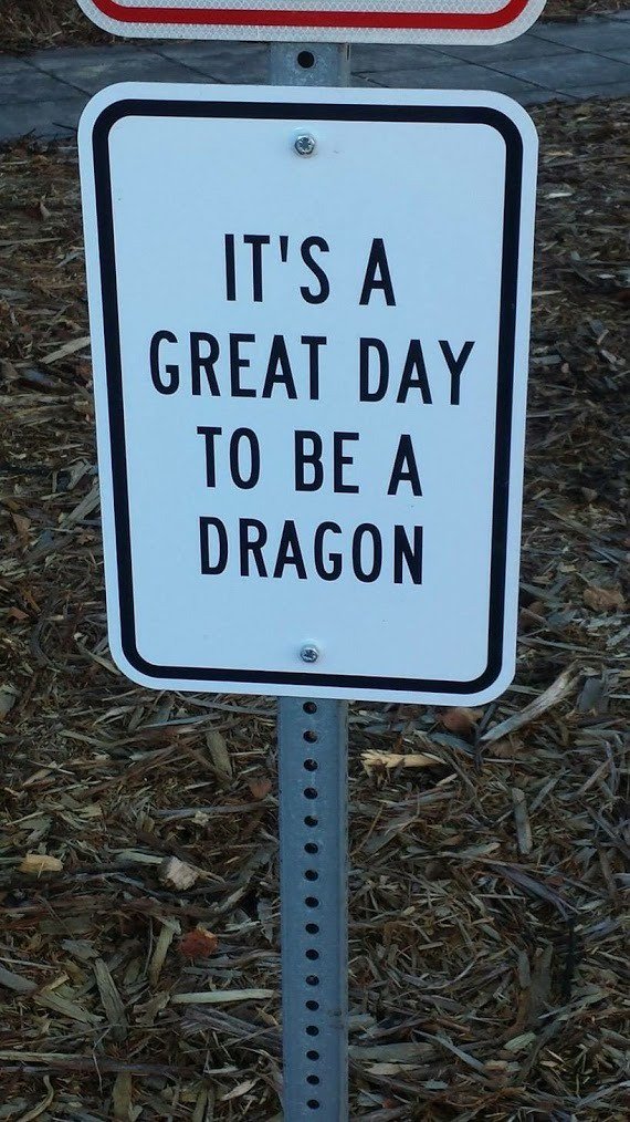RosesInTheFlame's tweet photo. I wish I'd wake up tomorrow morning in a dragons body. https://t.co/mtHjrpQnCA