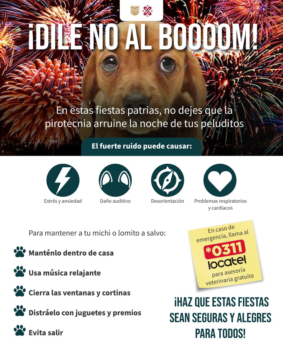 GobCDMX's tweet photo. 🗣️ El único estallido permitido es: ¡Viva México! 🇲🇽

🎇 Los fuegos artificiales pueden causar ansiedad 😖, daño auditivo 🔕 y problemas de salud 🩺 a tu michi o lomito. 😉 Por ello, en estas fiestas patrias 💚🤍❤️, protege a tu peludito con estas recomendaciones 👇:

🚫 ¡Di NO a la pirotecnia! 🥳 Celebra con responsabilidad y cuida a toda tu familia. 🐶 🐱
