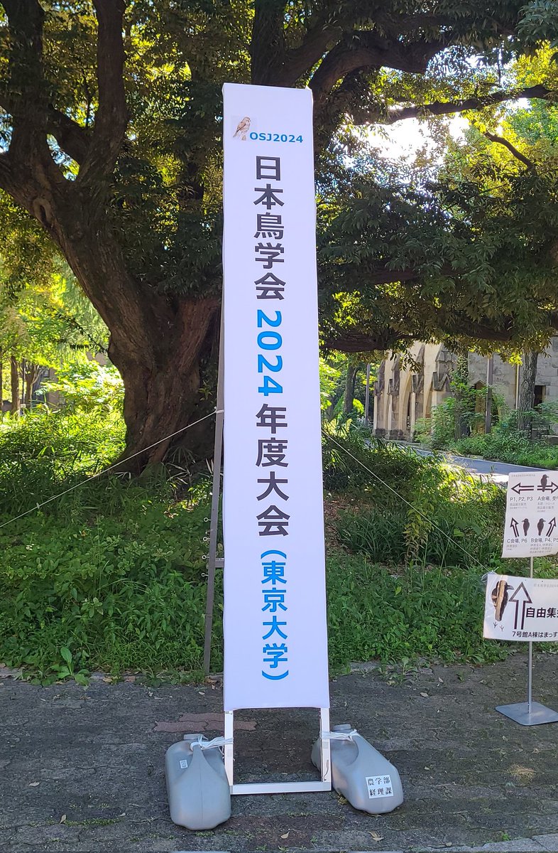 ヤモリの研究者ですが実は趣味鳥屋なので鳥学会来ました