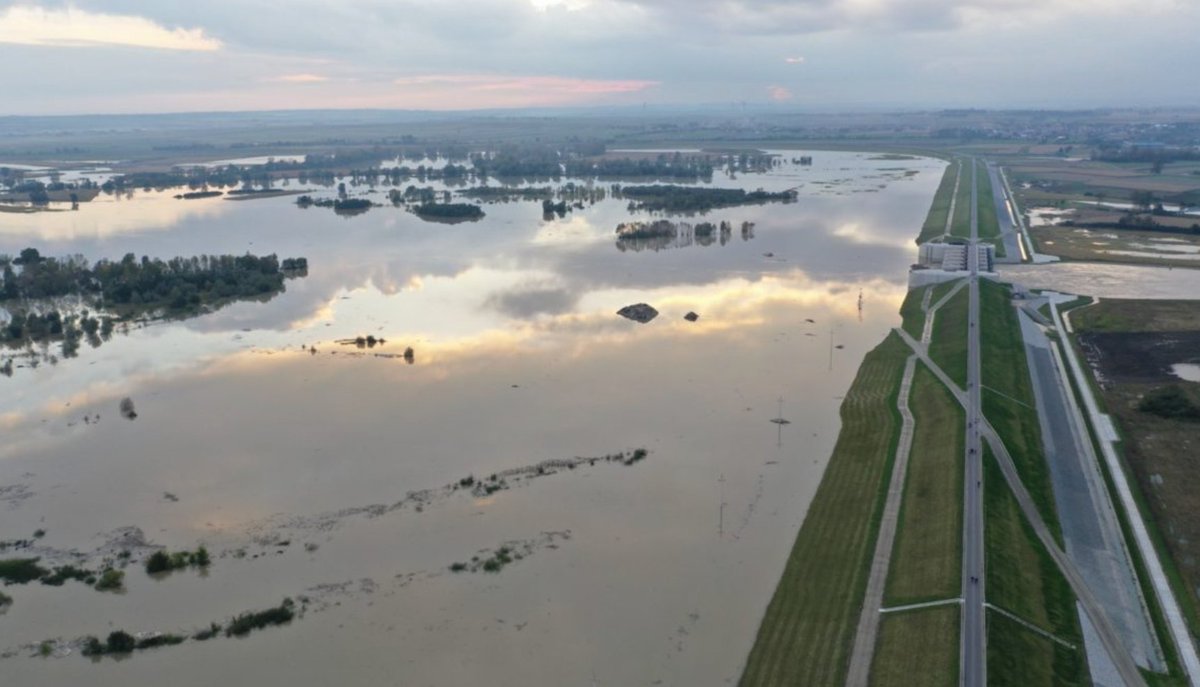 Szymon Janus tweet media