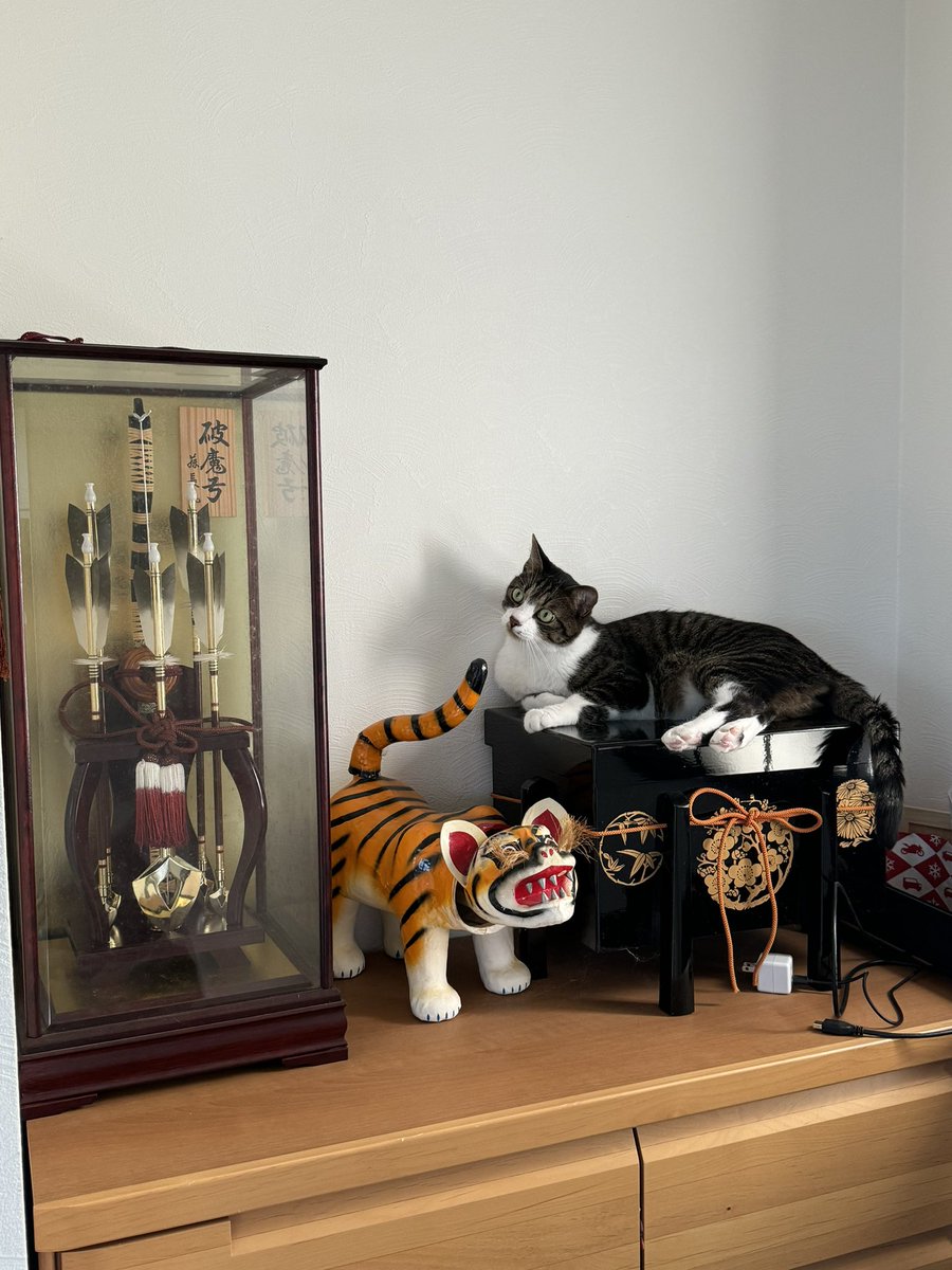 問題です。

この中に本物の猫がいるかもしれません。
どこでしょう