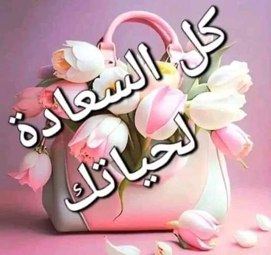 Ali Al Tamimi (@ali58601634) on Twitter photo 