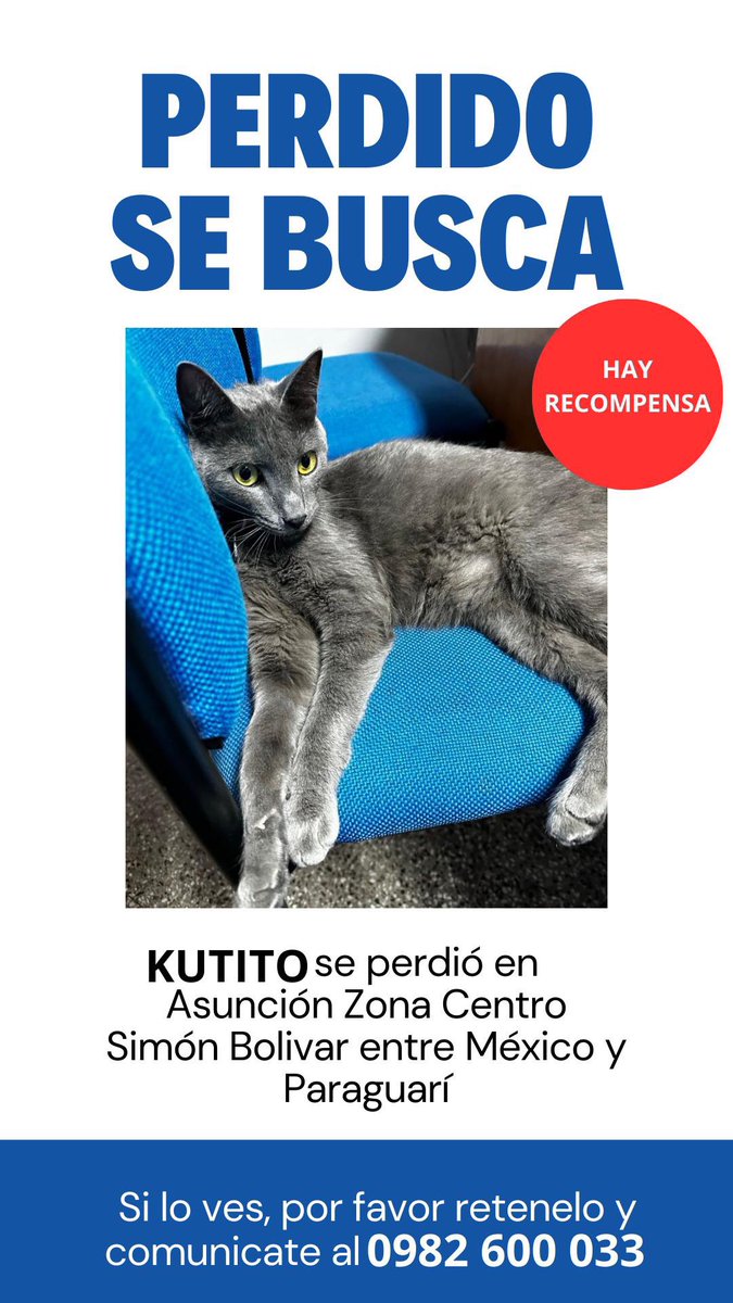 MarcoHuellasPy's tweet photo. Se busca ‼️ ayuda con RP 🙏 https://t.co/f9fbk3wB63