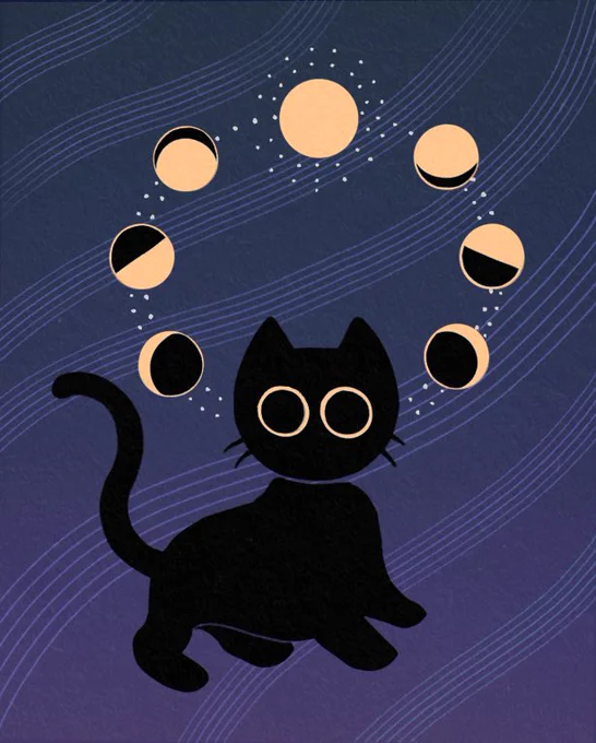 black cats are good luck to me  