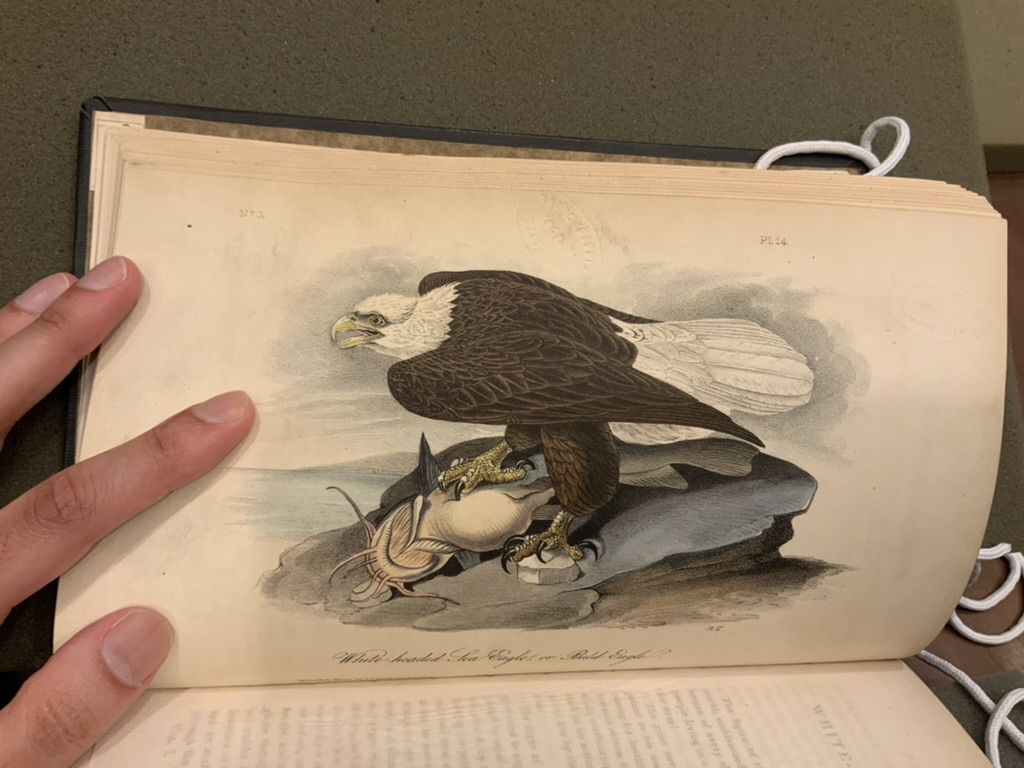 Nikhil Panicker tweet media